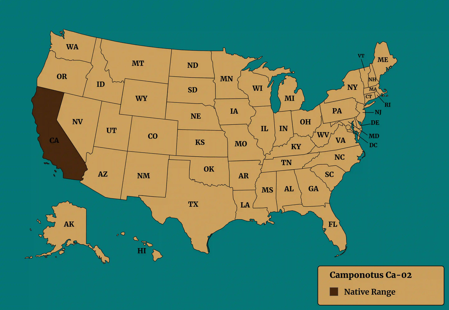 Camponotus CA02 Native Range
