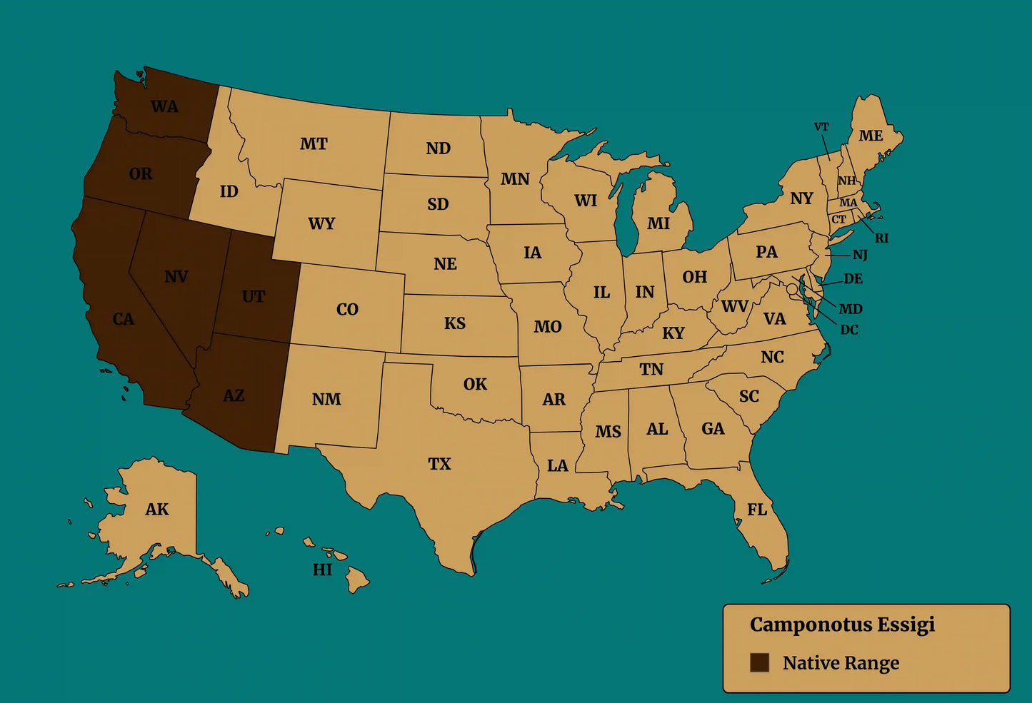 Camponotus essigi native range map