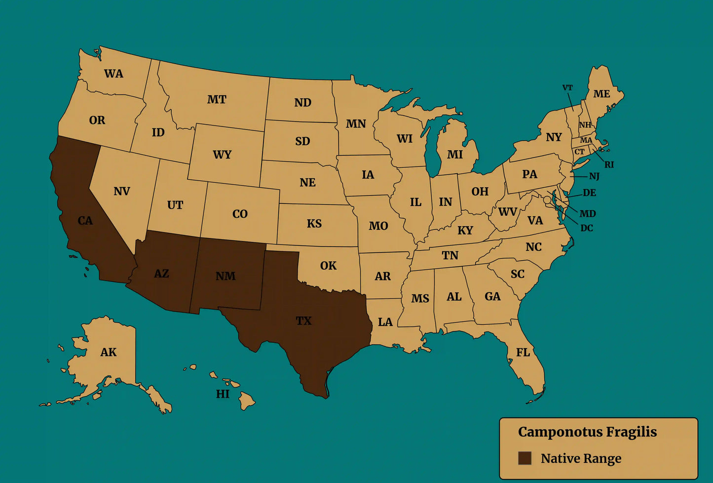 Camponotus fragilis native range map