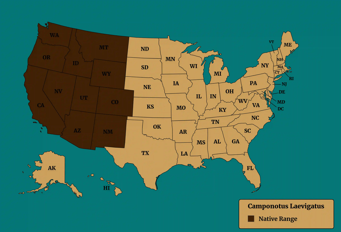 camponotus laevigatus native range map