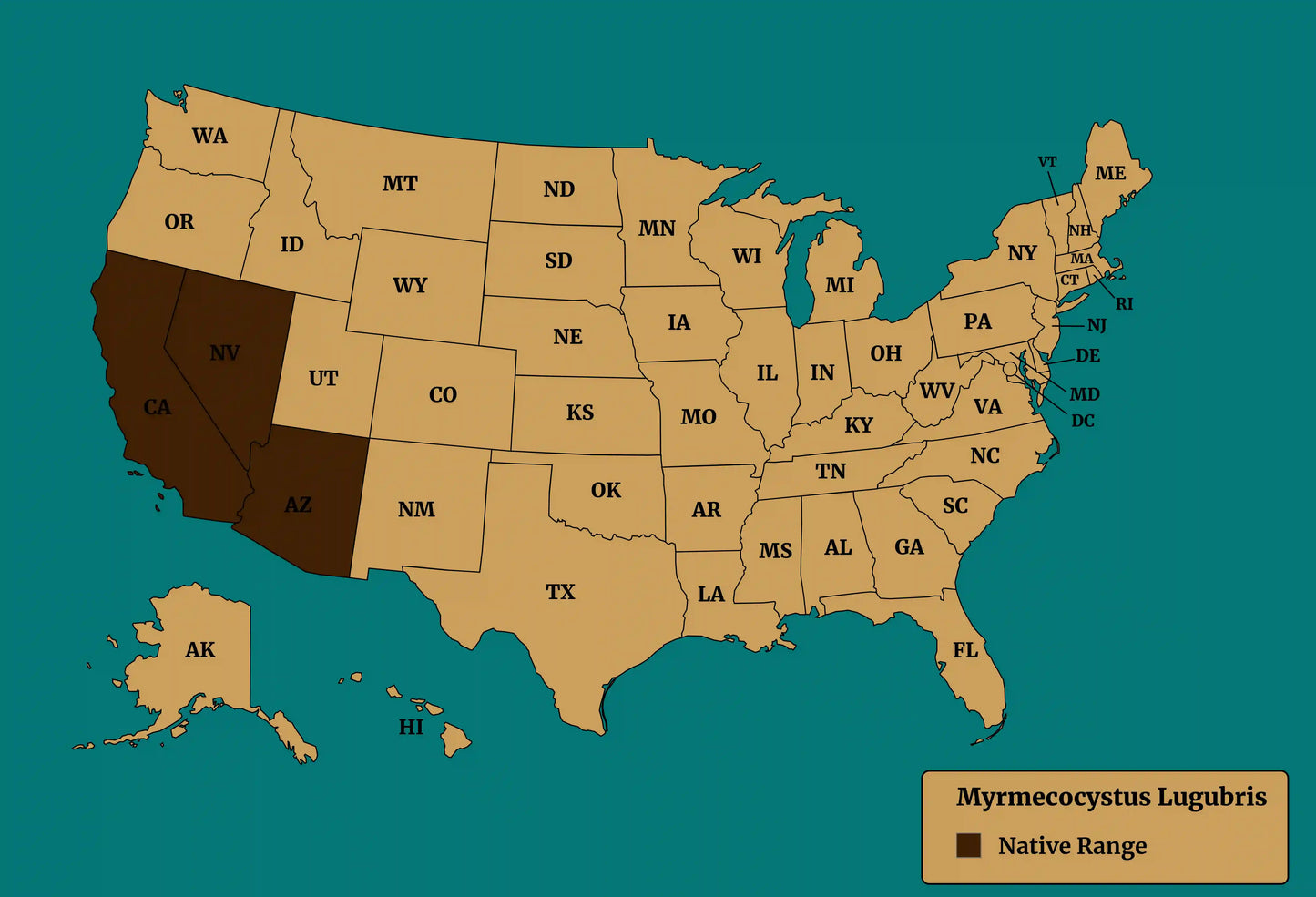 Native range of myrecocystus lugubris