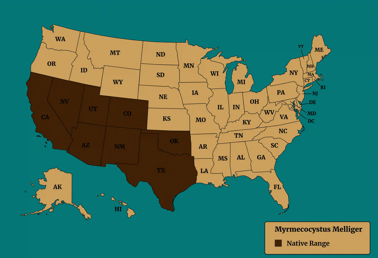 myrmecocystus melliger native range map.