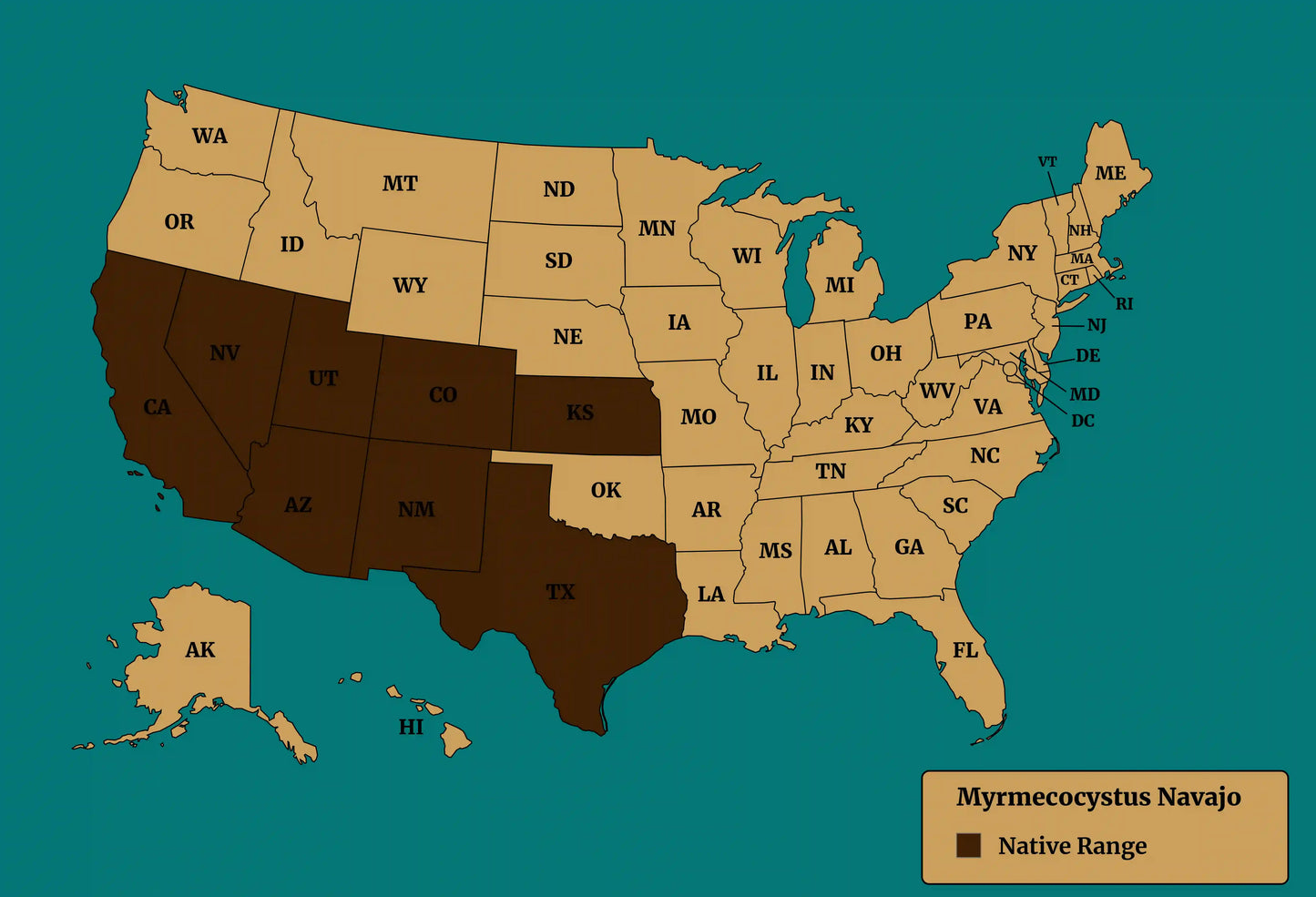 native range map for myrmecocystus navajo