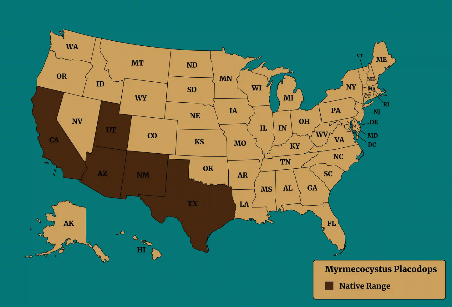 Native range map of myrmecocystus placodops.