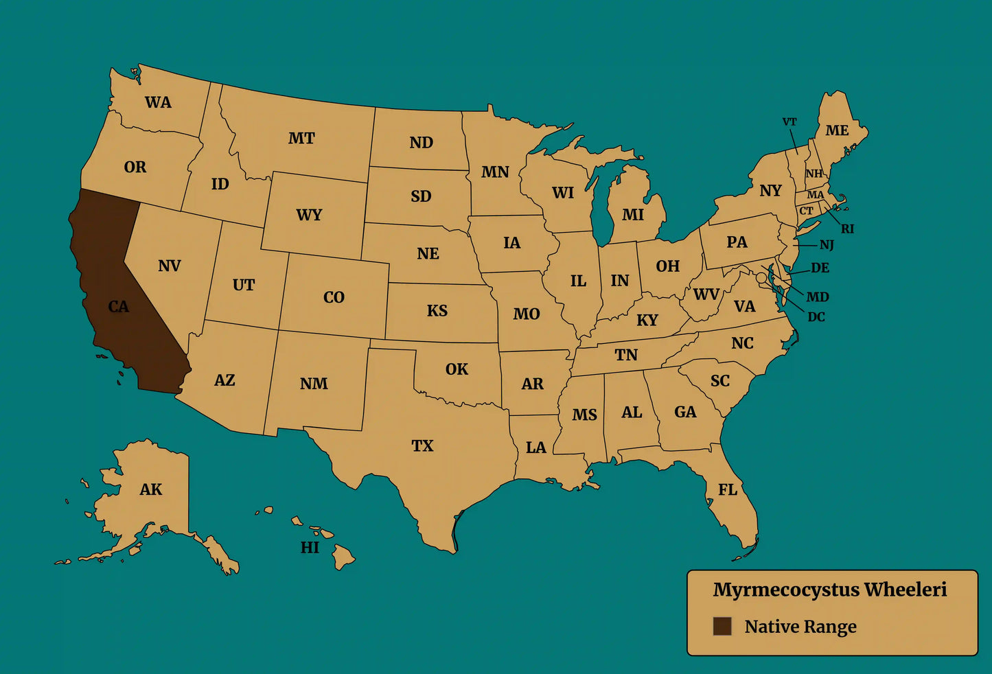 myrmecocystus wheeleri native range map