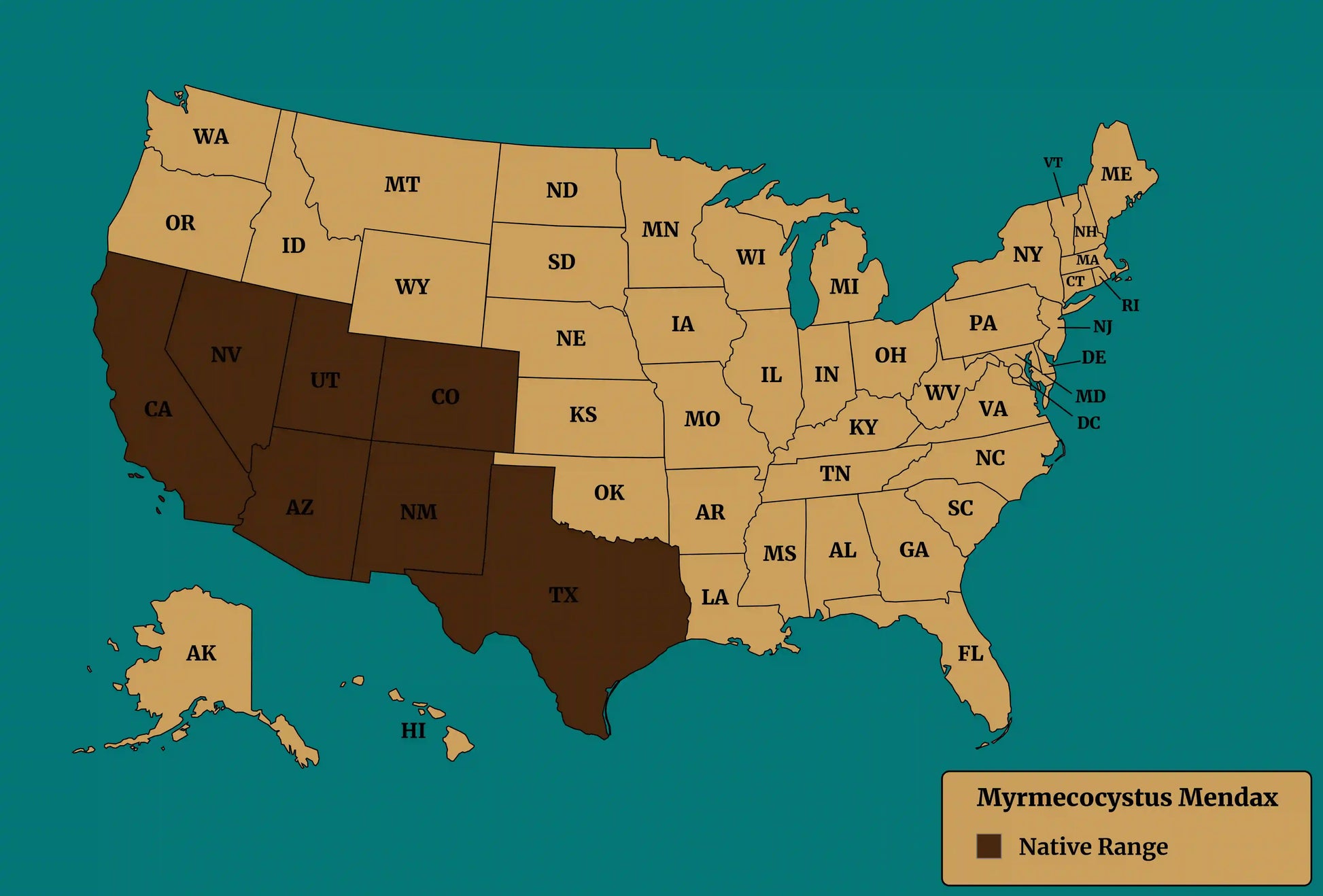 myrmecocystus mendax native range map
