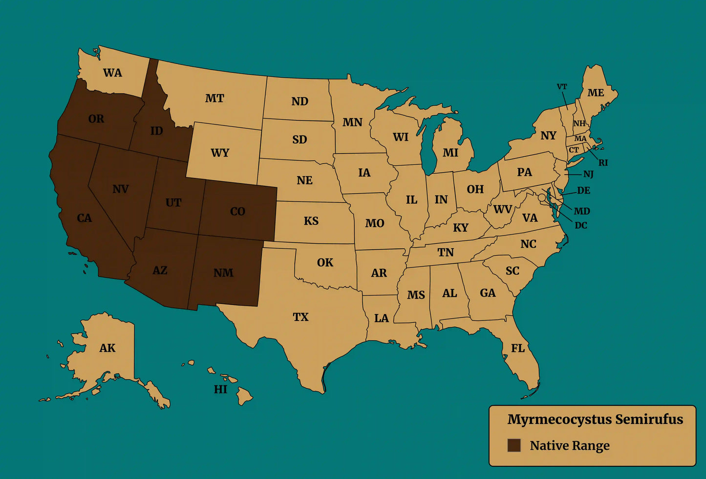 Myrmecocystus semirufus native range map