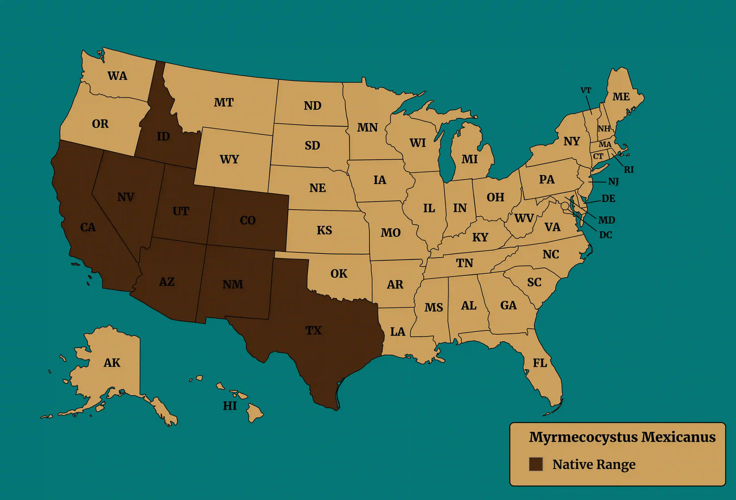 native range map of myrmecocystus mexicanus.