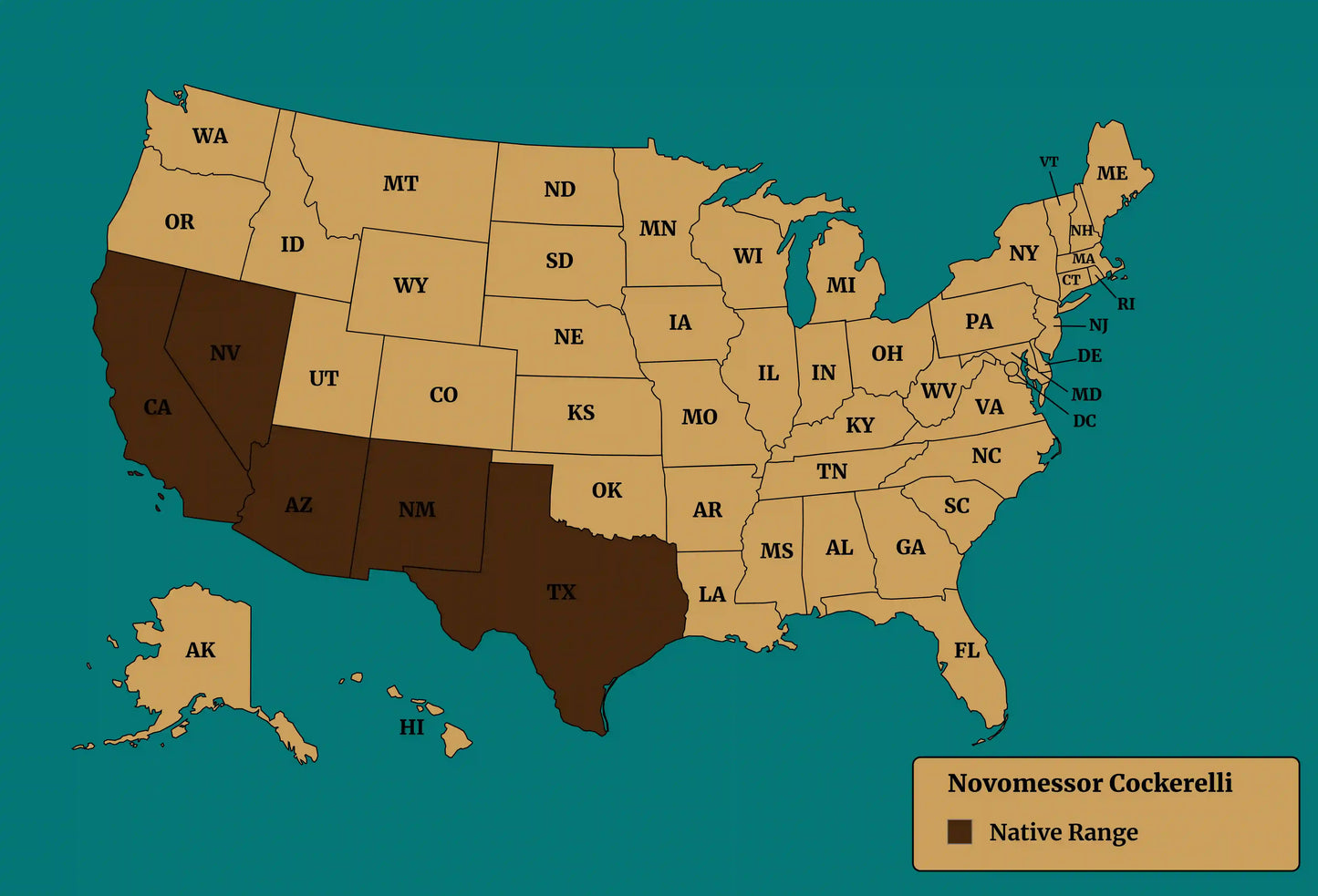 Native range map for novomessor cockerelli
