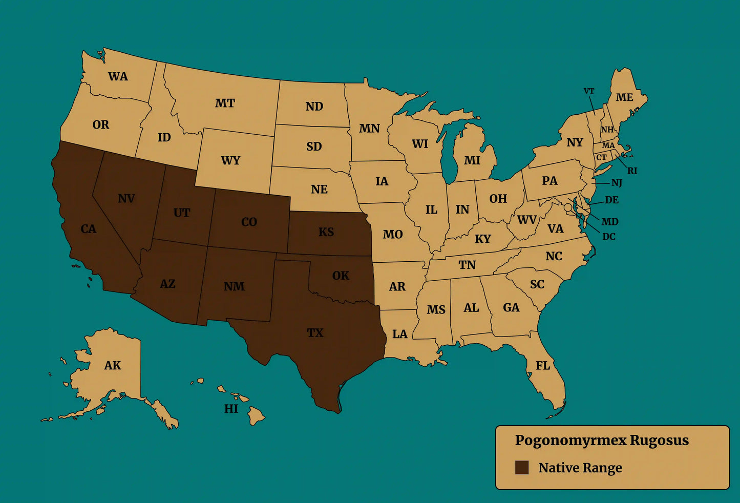 pogonomyrmex rugosus native range map