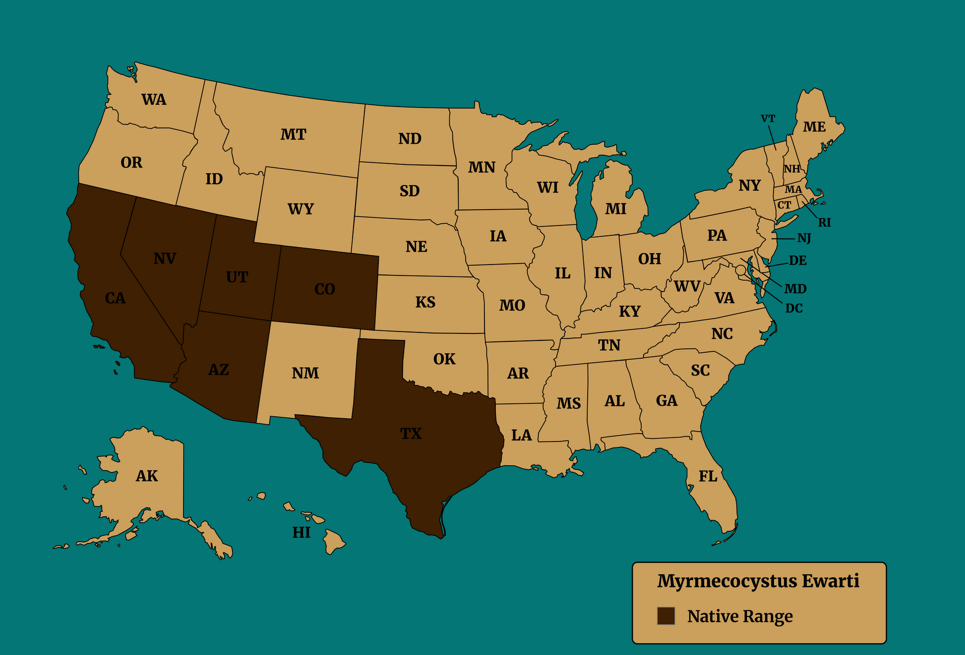 myrmecocystus ewarti native range