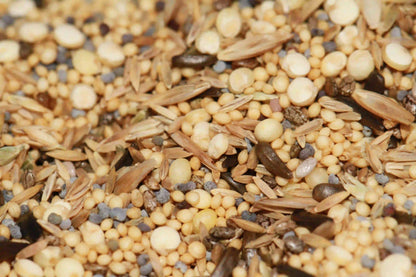 Variety pack of seeds for harvester ants