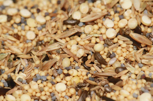 Variety pack of seeds for harvester ants