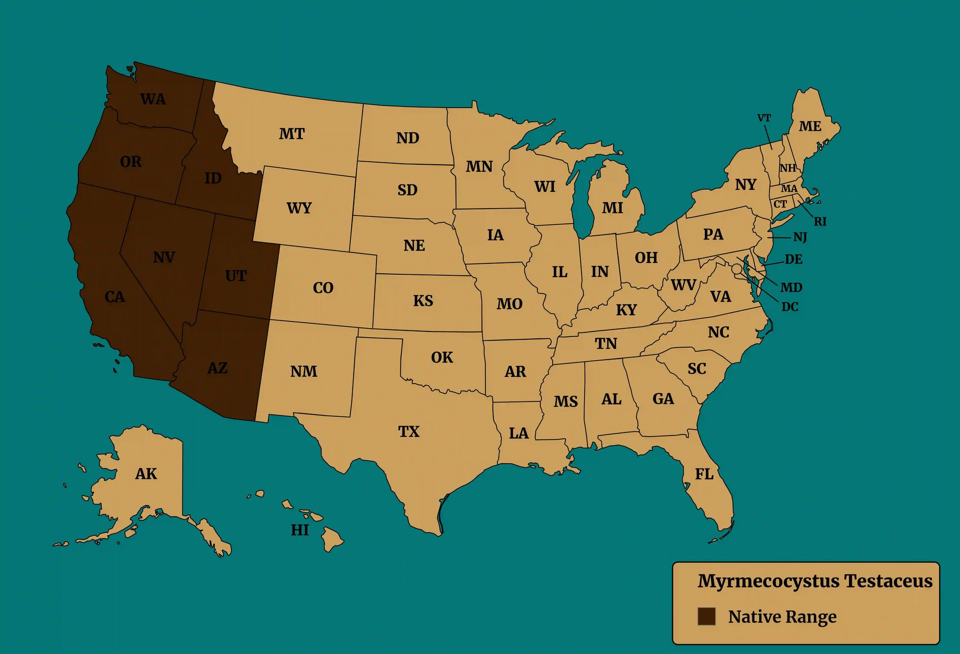 native range of the species myrmecocystus testaceus