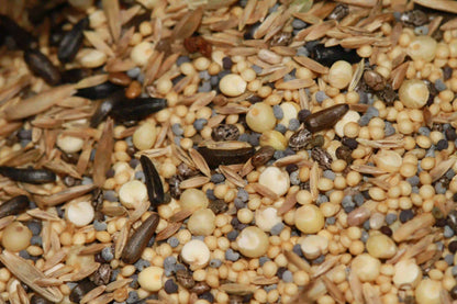 Mixed seeds for feeding harvester ants
